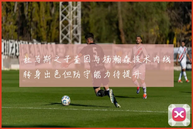 杜马斯之子奎因与杨瀚森技术内线转身出色但防守能力待提升
